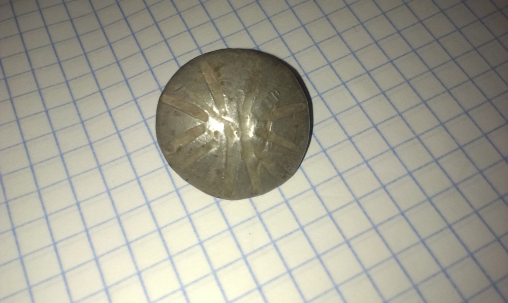 8SSICpqkoh8.jpg