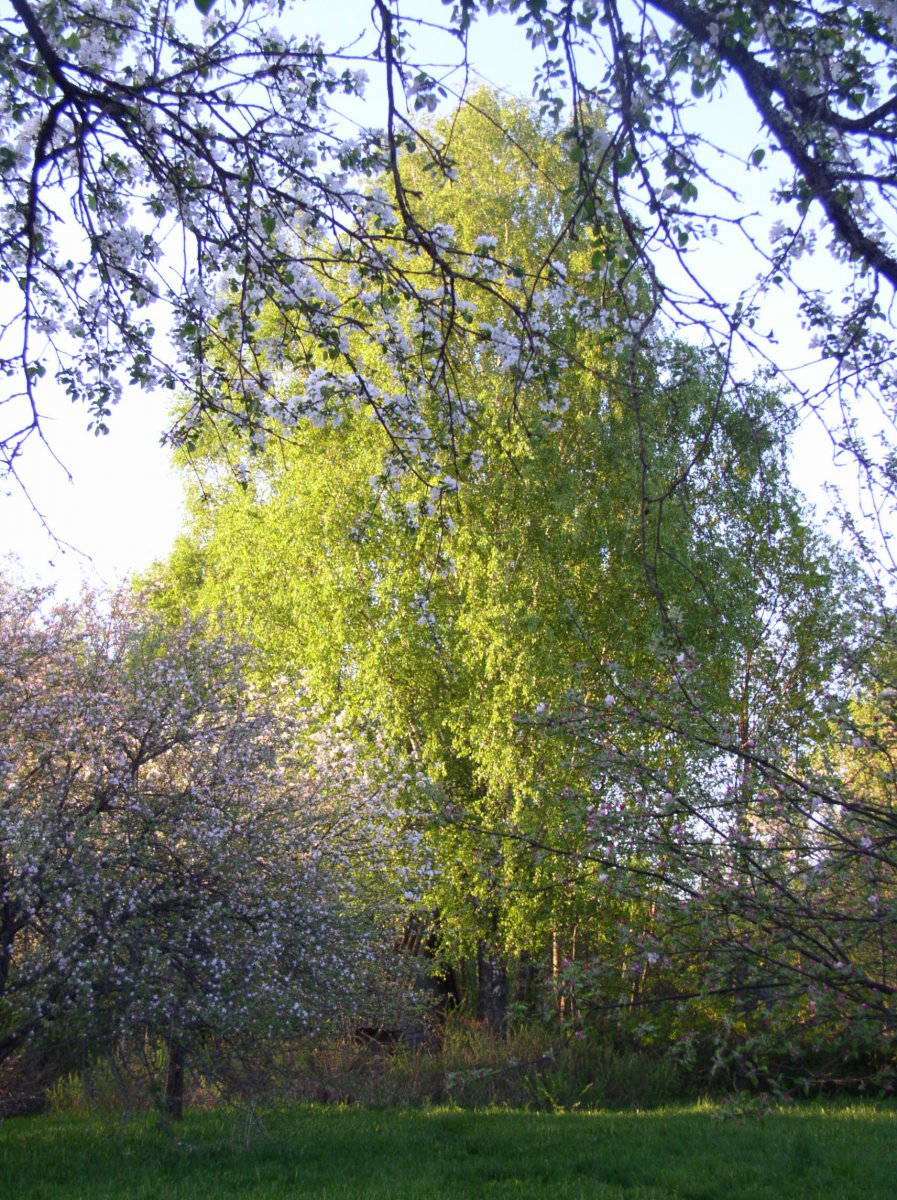 9-5-18 Weischnoriija 172.jpg