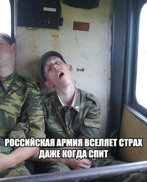 9103536.jpg