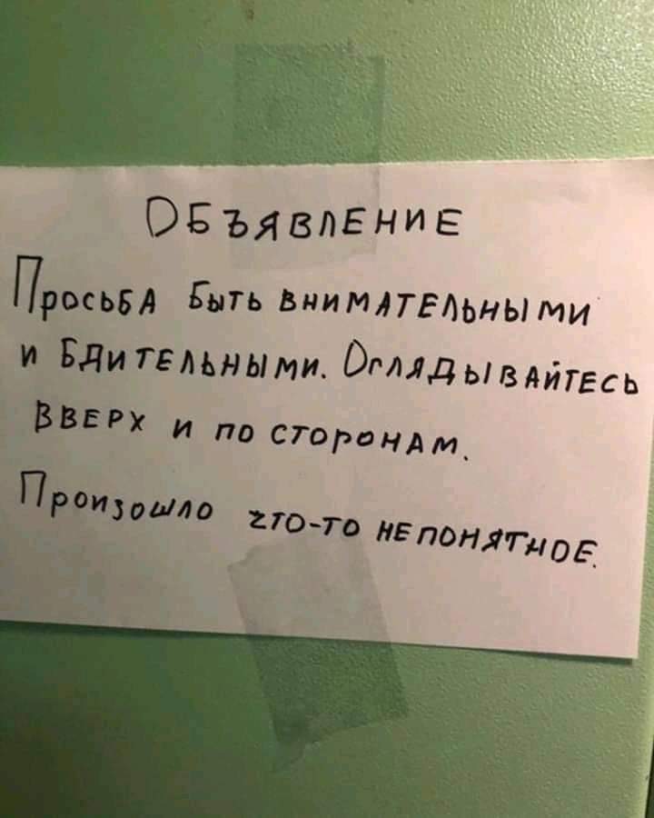 91328143-097C-4366-A00C-D6F5E77936C0.jpeg