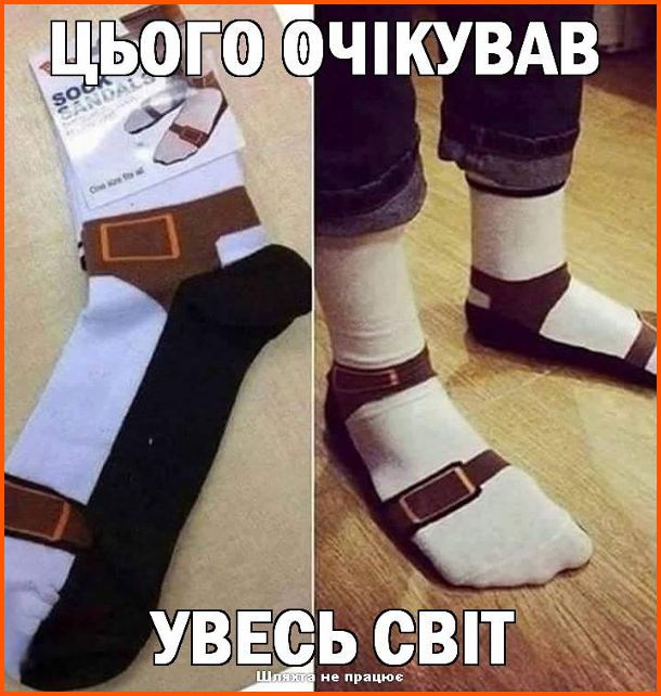 918a9ed3053b4a8da4b58c05c4fe44ed.jpg