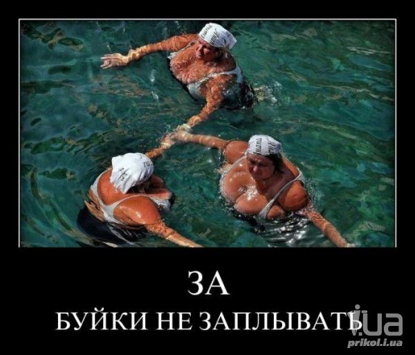 921400_1279583.jpg
