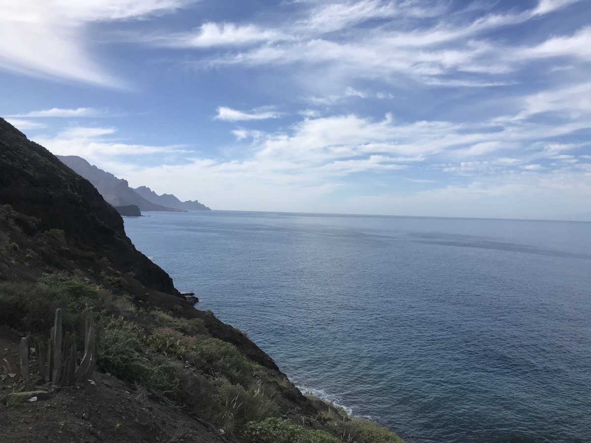 94219541-E538-4F5D-B4A7-D045D81D40B4.jpeg