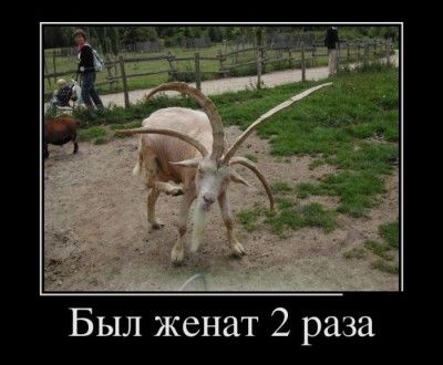 94be7abbb508370247094d3767d2561d.jpg