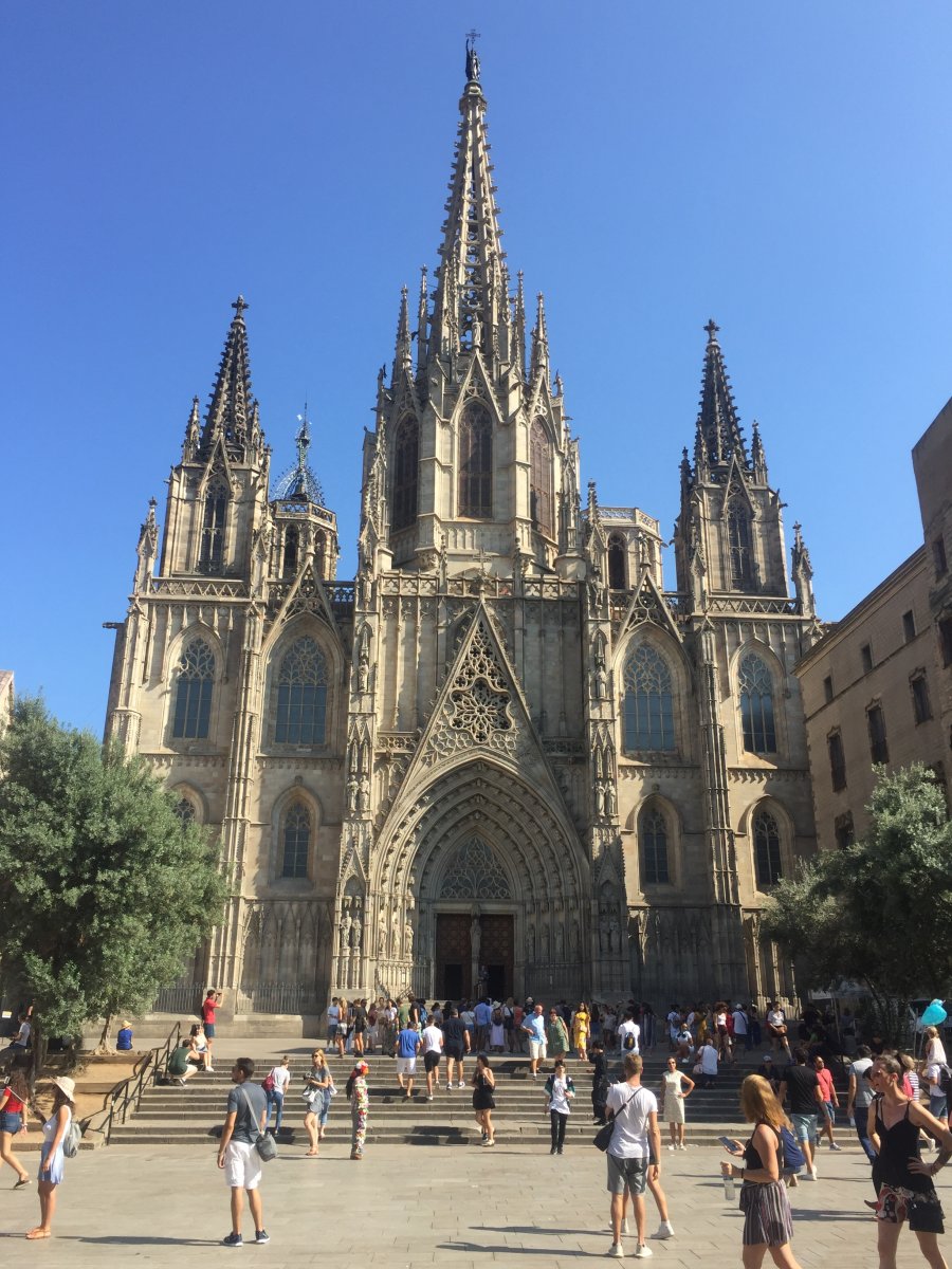 953F0852-6194-4AD0-BAA7-54C3D0810169.jpeg