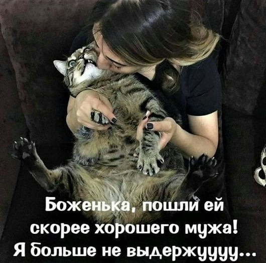 9563c032-5519-44ce-a94a-b492c74f2979_1.jpg