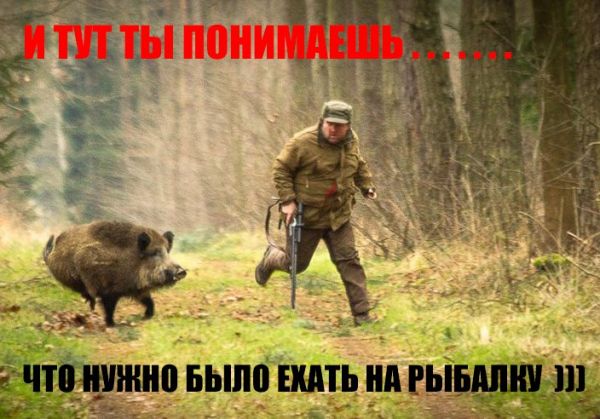 95bbbcbe5b4088fb45702657693a4f79.jpeg