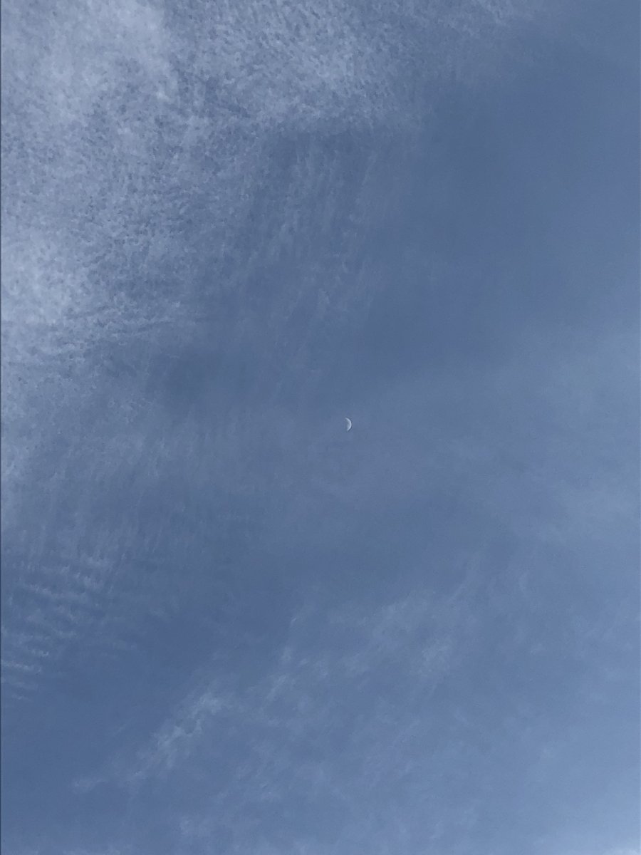 971B9CF3-136A-42C2-AA60-DB82205F0B14.jpeg