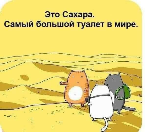 971F14CF-7C52-4810-AB56-A48C744BF35E.jpeg