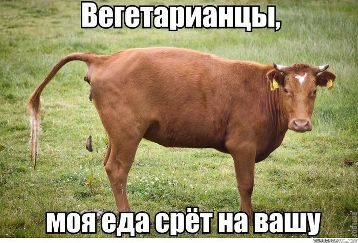980AD156-B43A-4520-8511-F9A6D1F647F4.jpeg
