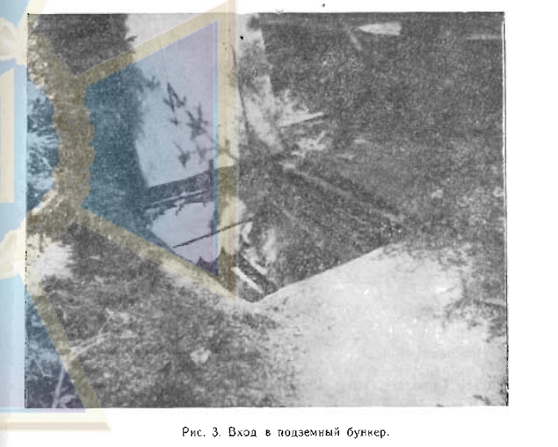 9857н3рр.jpg