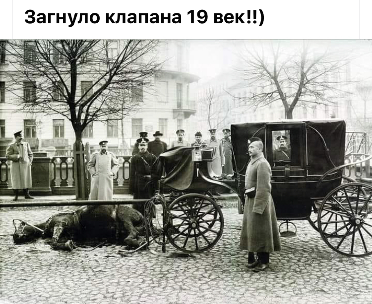 99F0D43D-F7BE-464A-9EA5-F2F81D6787EC.jpeg