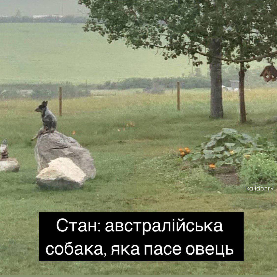 9AF85AC8-D8CC-4C94-97FF-84A3007D5575.jpeg
