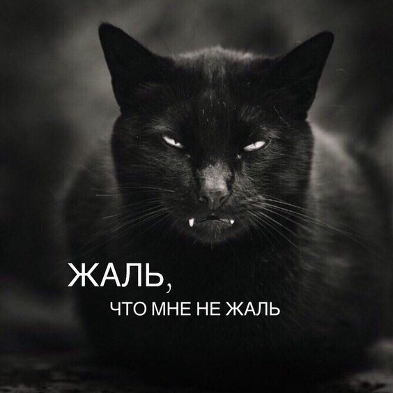 9d8a6bb44c84e5e40bfd8fbb7d0e15a2.jpg