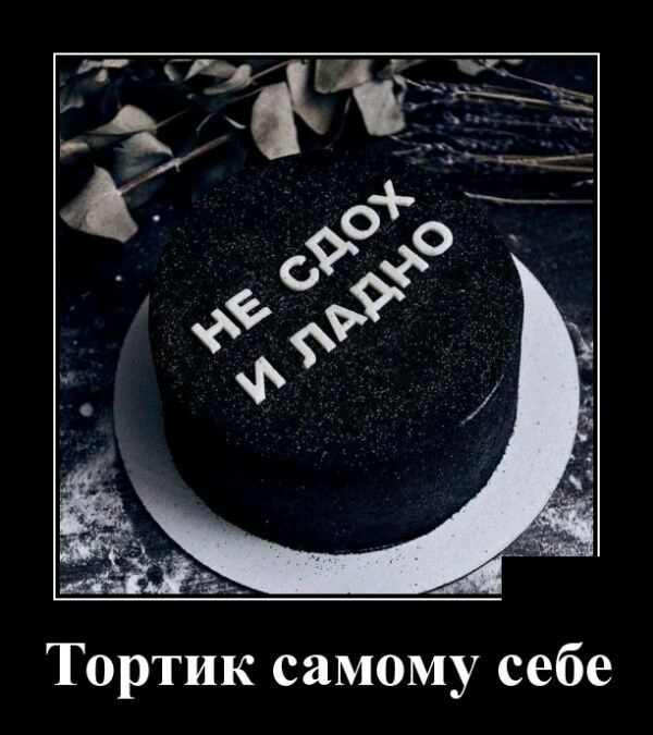 9e9cbef72c7938a76a08b01bddf71b01.jpg