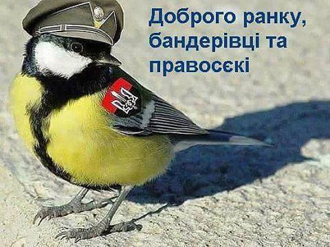 9f6b0272835f305b9ffb.jpg