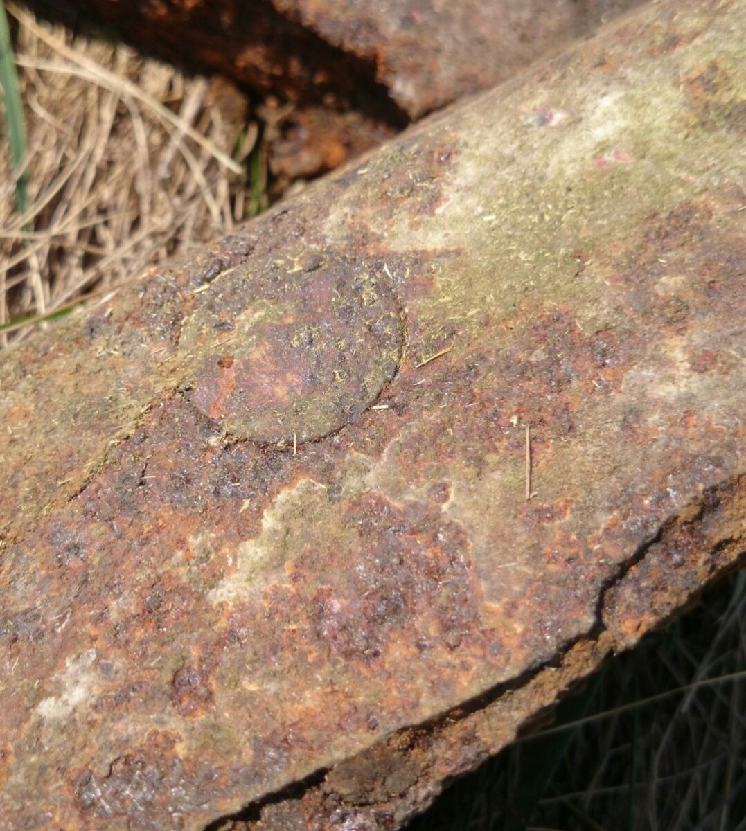 _20180421_220903.JPG