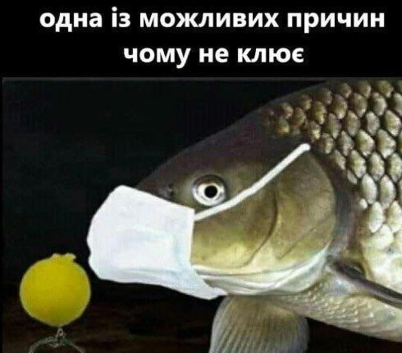 _Smishni_kartinki_pro_karantin_ta_koronavirus_1_2020_06_04_04_35_24.jpg