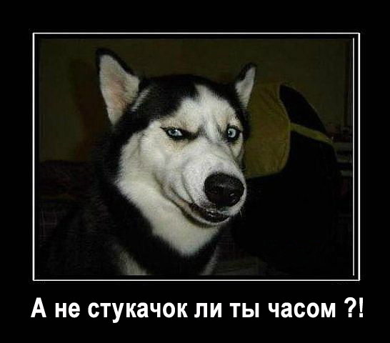 А не стукачок ли ты часом.jpg