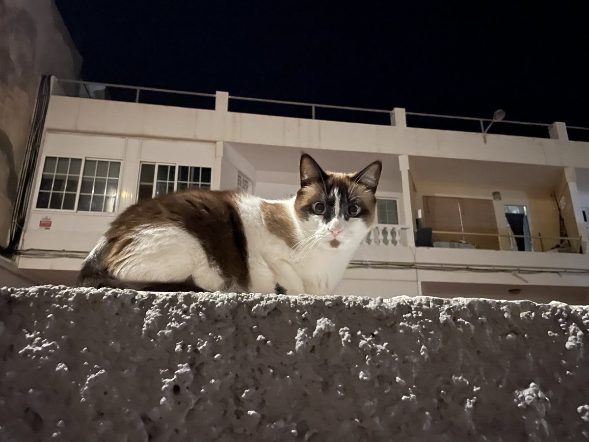 A07311EF-909F-4A28-A845-35C89175F2AF.jpeg