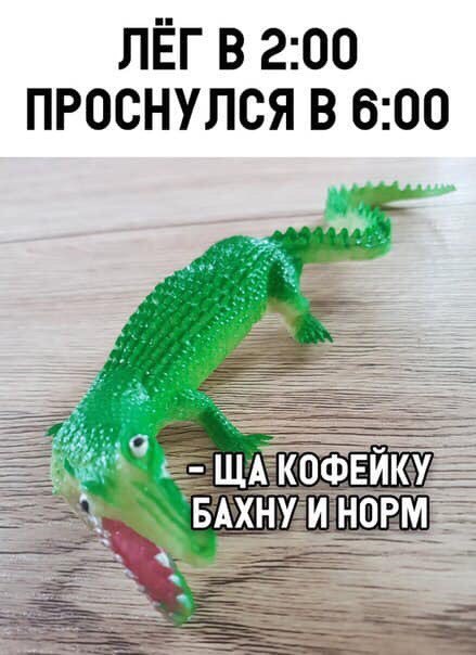 A0A0F1AF-5B76-4C6B-898F-B5E0A7EC7BD8.jpeg