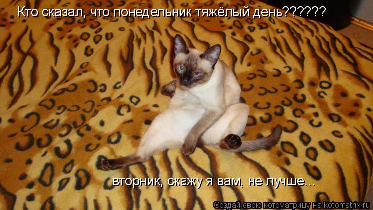 a0e214963b6aeca3d05c67c033a0889e.jpg