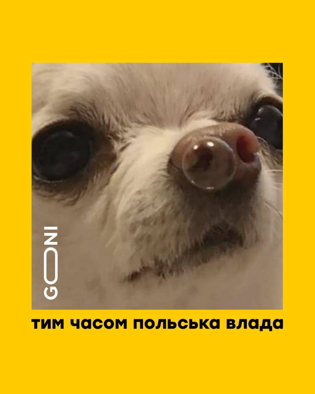 A149E7BD-8708-4AD9-BD7A-00527519192C.jpeg