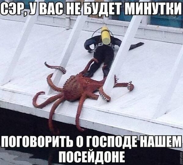 A2AACC64-C251-48C0-9563-F7AB5673CB5E.jpeg