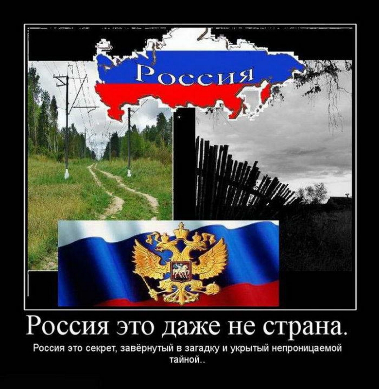 a368f6da08da5df7a2e4c5d0654.jpg
