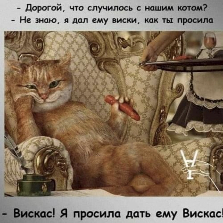 A593EE8C-9A63-4582-BE82-3A77F48AF5AD.jpeg