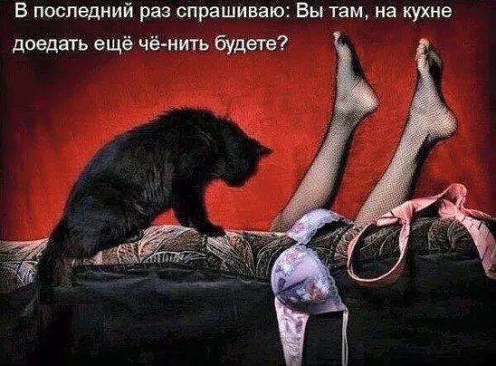 a65d654207d90db62a38e8d650b4ec98.jpg