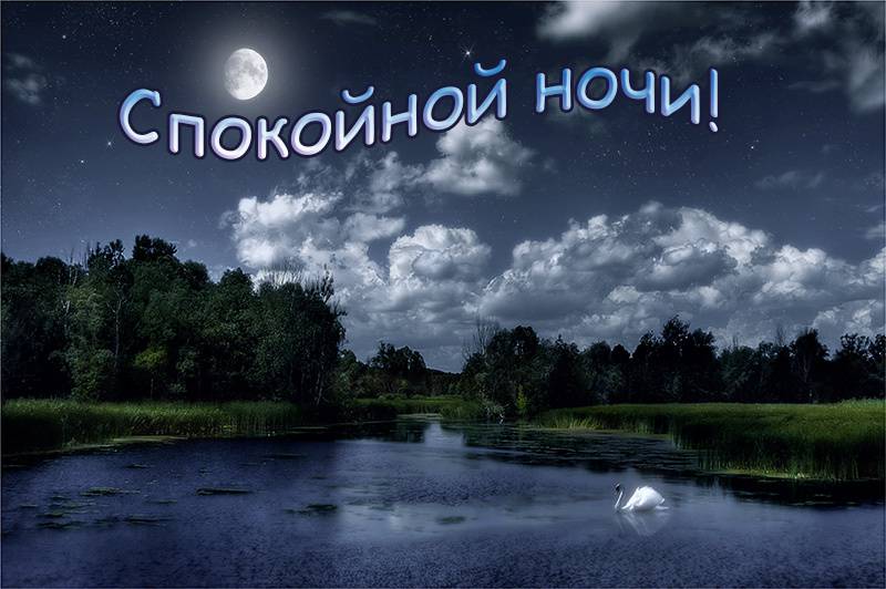 a91u3u3nnbo84sbdde8u6u47c6o72sdl.jpg