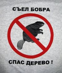 a_af28fc17.jpg