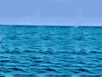 AA4B9199-E85B-4B50-BF9C-9F1D725599FE.gif