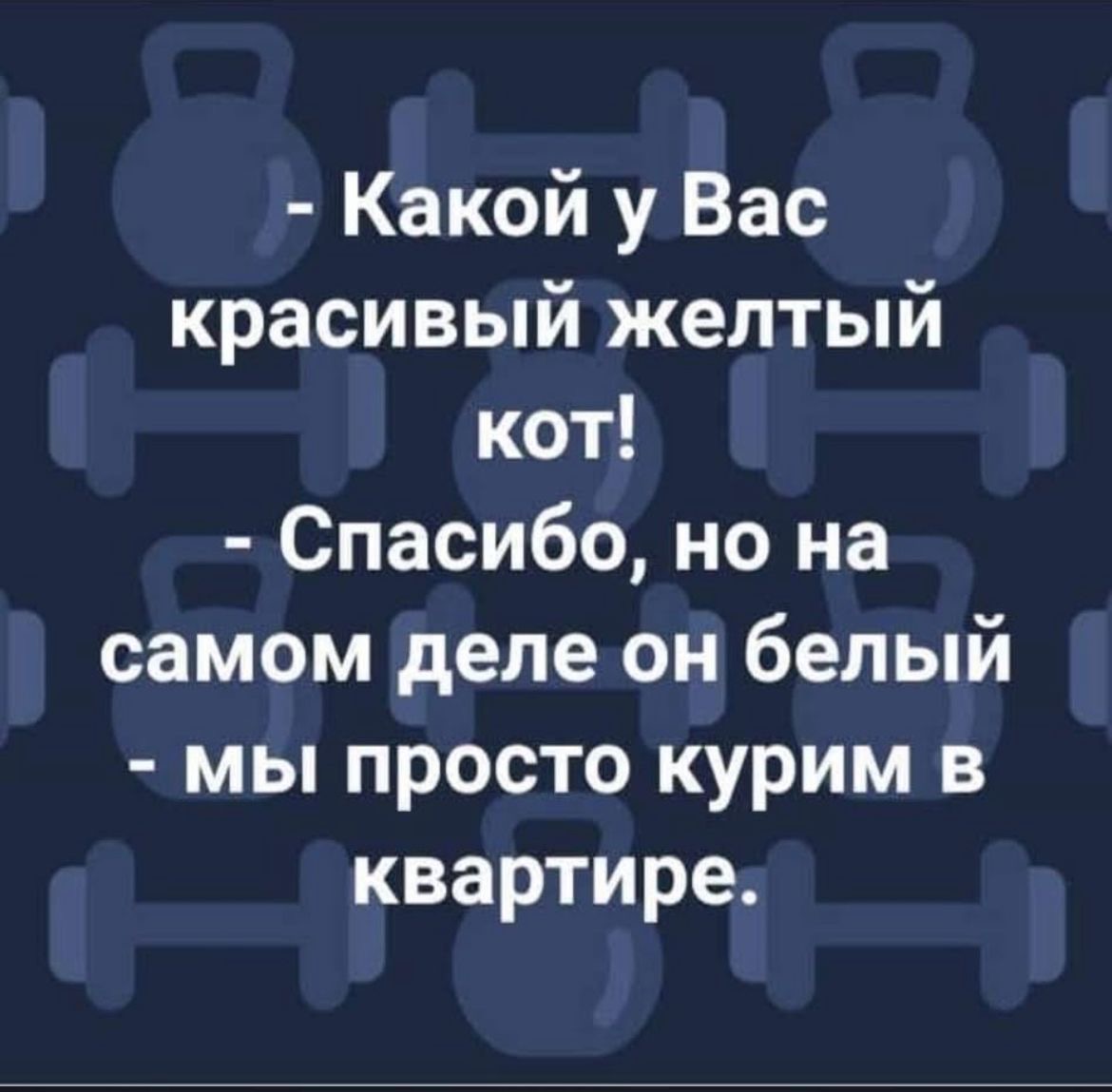 aa9f7ecb-70b5-415c-a103-4ca2d272d93f.jpeg
