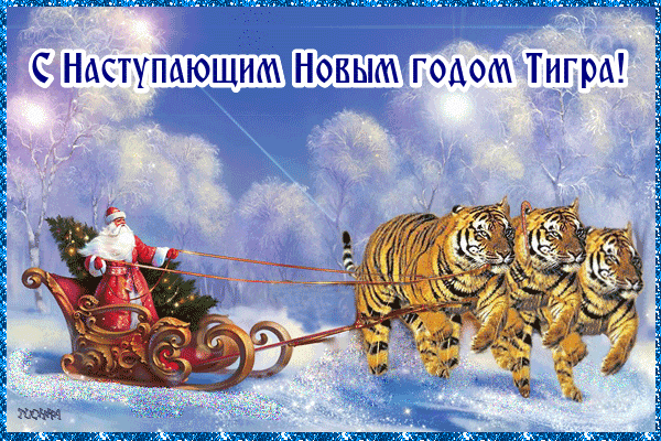 AB74AFA6-4DF5-4AD8-8D35-5A46934F0C5F.gif