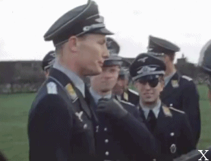abcae8e2736daee2977af83baa717982.gif