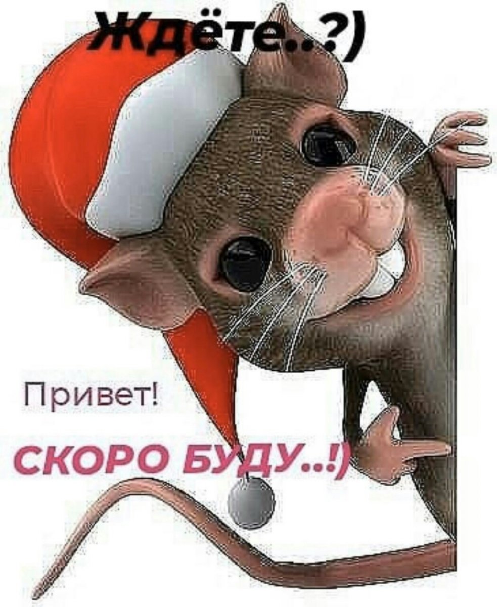 AD998FD2-A3A0-44AA-8111-4B75AA4F9FD9.jpeg