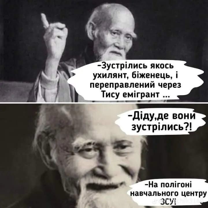 ae3c4232-300d-494b-8a2f-ca03b4076caa.jpeg