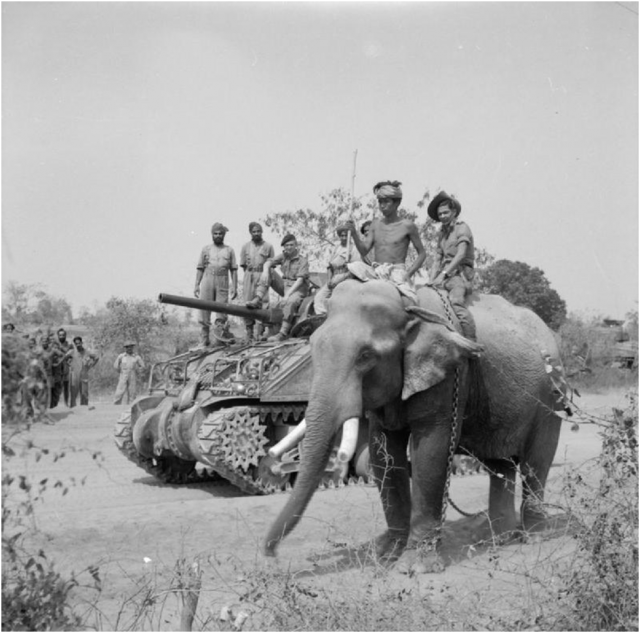 An-Extraordinary-Tale-of-Burmese-Elephants-in-World-War-II-Combat-640x633.png