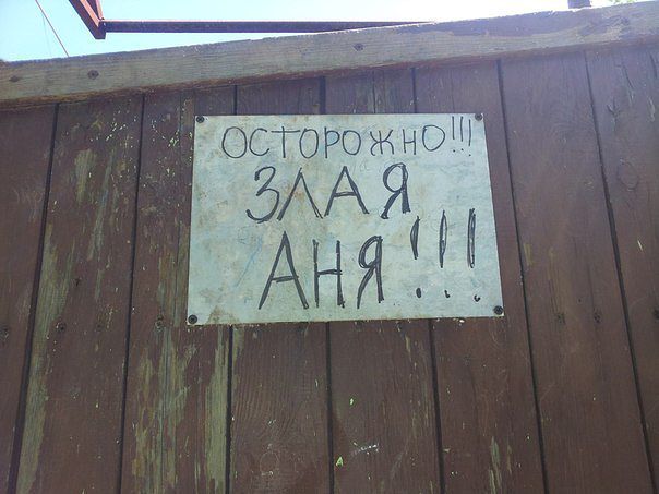 ан.jpeg