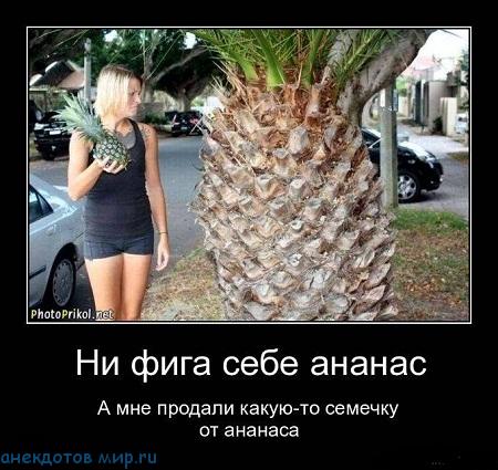 анекдот-про-ананас.jpg