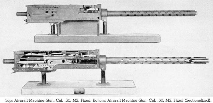 anm2-4.jpg