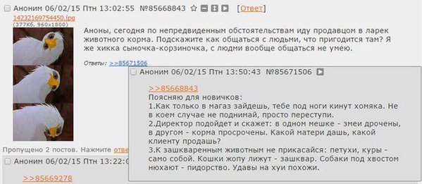 anon-2752550.jpeg
