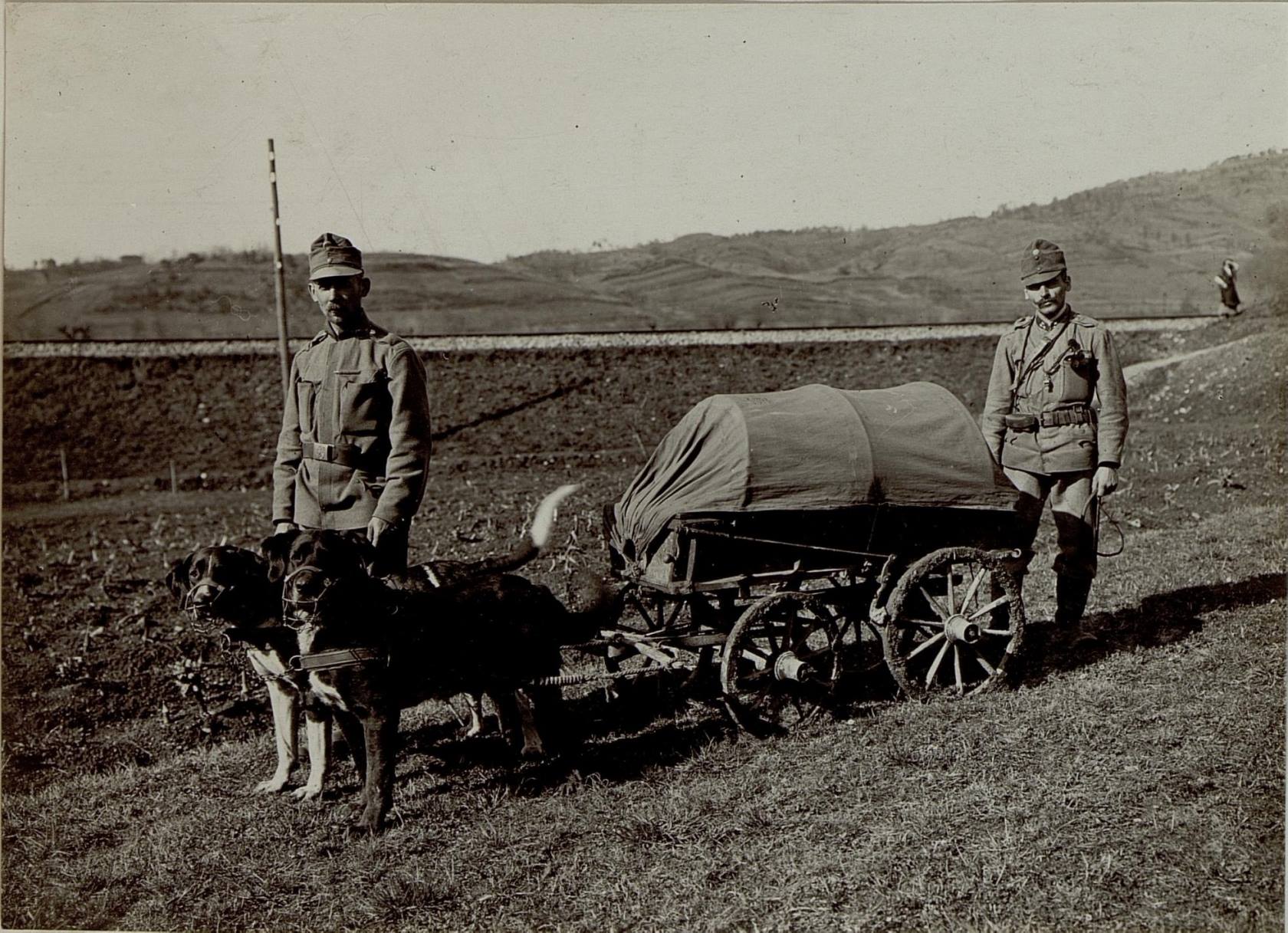 Ansicht-eines-Kriegshundewagens-für-elektrische-Handlampen-in-Dornberk-1916.jpg