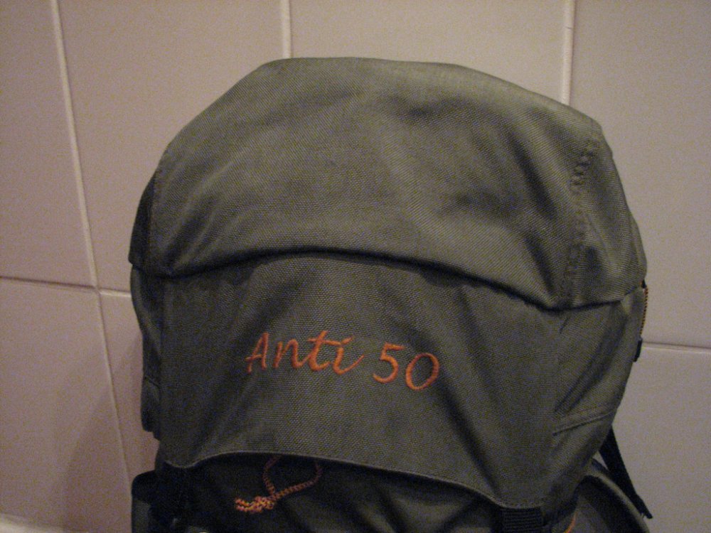 ant50 005.jpg