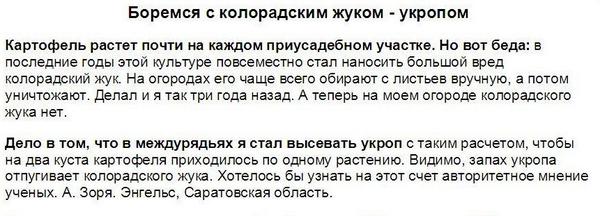 ап23.jpg