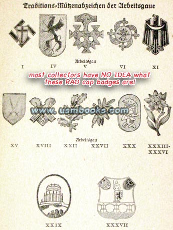 aRAD44cal3.jpg
