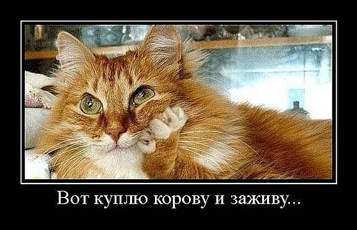 article23724.jpg