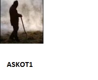 askot1.jpg